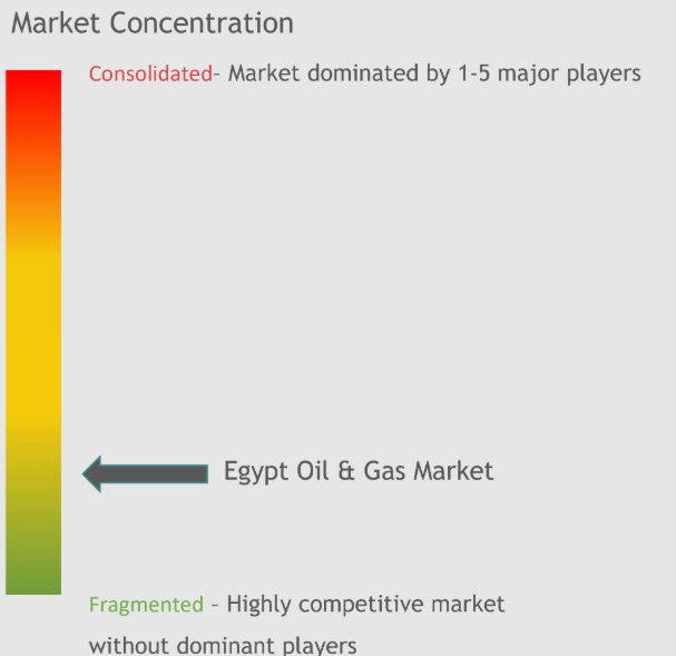 Egypt Oil And Gas Market Concentration